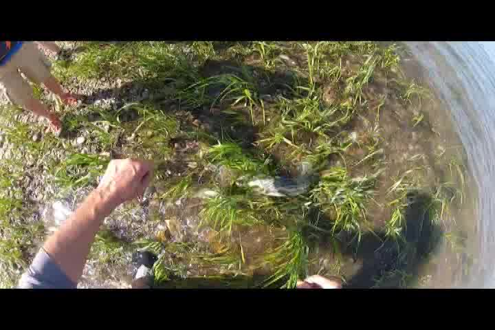 Thumbnail image for Expedition New England