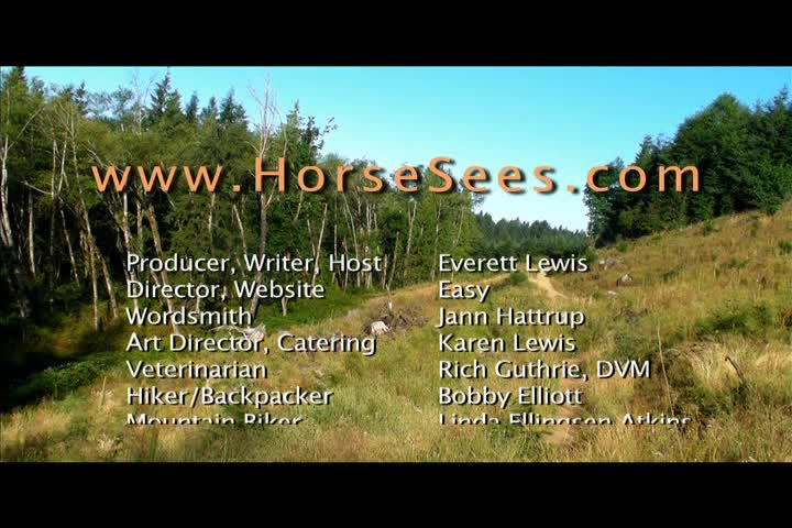 Thumbnail image for What a Horse Sees