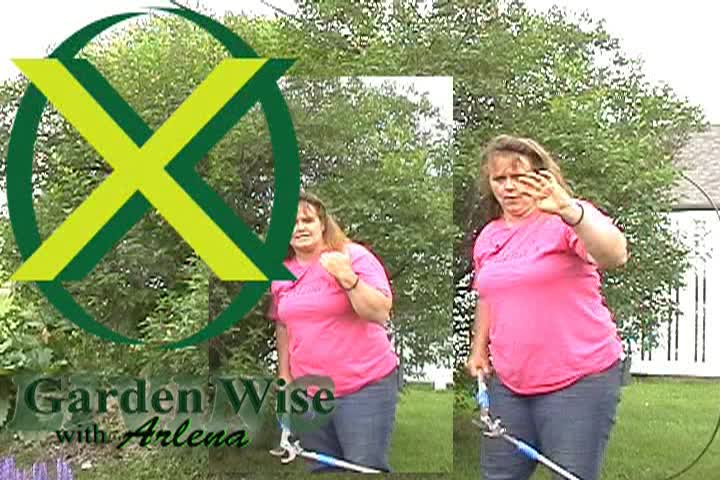 Thumbnail image for Garden Wise